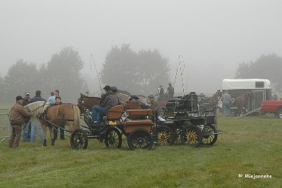DSC_7884 Een dagje Equidroom met paarden en koetsjes
