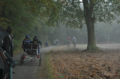 DSC_7907 Rondom bocholt.
