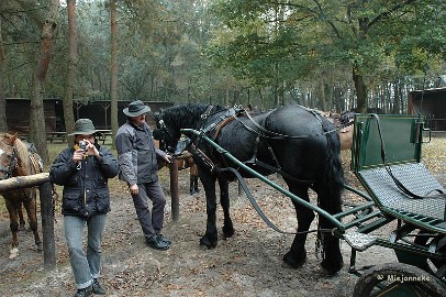 DSC_7933 Mooi paard toch. Met dank aan Andre en Wies voor de leuke dag.