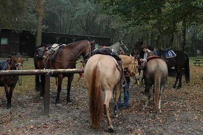 DSC_7937 Van groot naar klein en andersom.