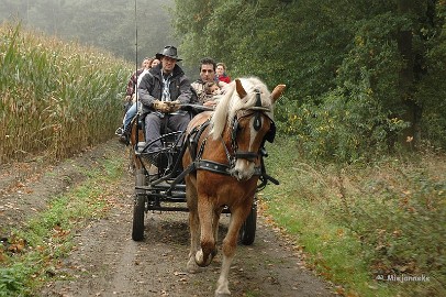 DSC_7961 Deze liep achter ons