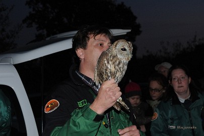 DSC_1490 Zondag 19 oktober De Wulp, het vrijlaten van uilen, 19.00 uur stipt.