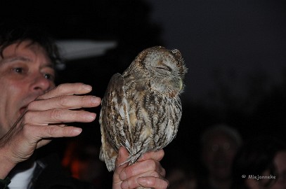 DSC_1496 Brrrrr dat heb ik weer gehad. Hij bleef nog even met de ogen dicht zitten.