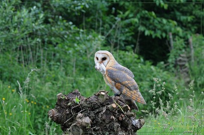 DSC_1506 Evi