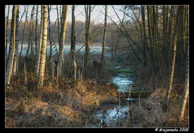 DSC_1067 Beverbeek
