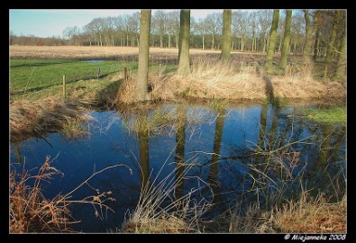 DSC_1137 De Beverbeek