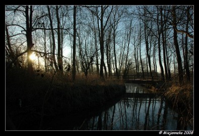 DSC_1197 De Dommel