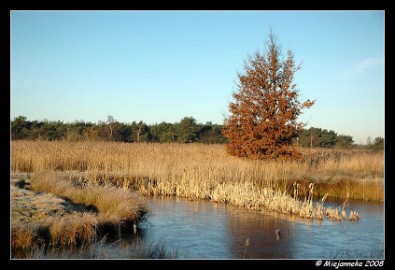 DSC_1226 Wandelen Hageven