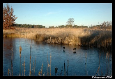 DSC_1237 Ijsschaatsen