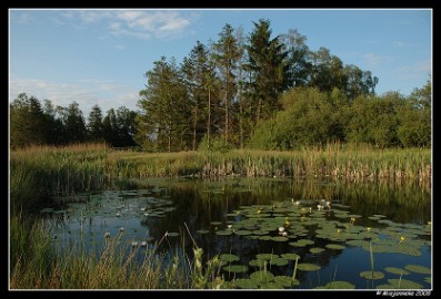 DSC_6201 Hageven