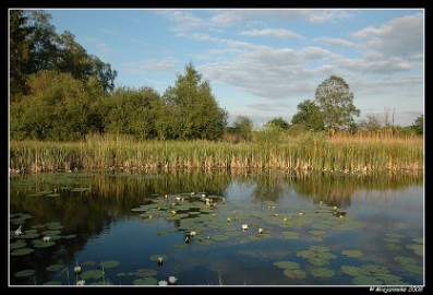 DSC_6204 Hageven