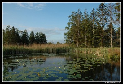 DSC_6212 Hageven