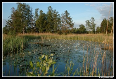 DSC_6260 Hageven
