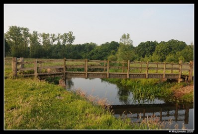 DSC_0004 Leenderheide