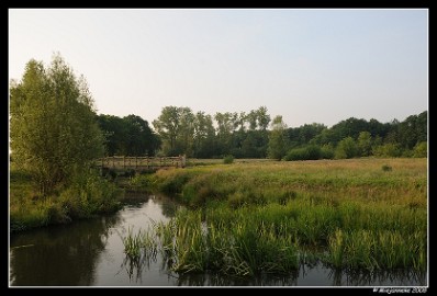 DSC_0007 Leenderheide