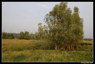 DSC_0024 Leenderheide