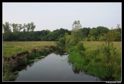 DSC_0027 Leenderheide De Dommel
