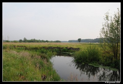 DSC_0032 Leenderheide