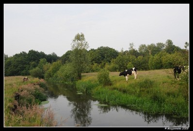 DSC_0050 Leenderheide