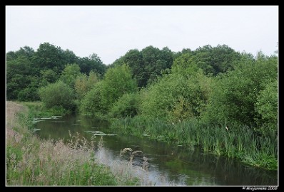 DSC_0057 Leenderheide