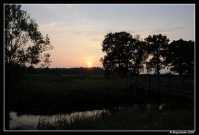 DSC_0085 Leenderheide