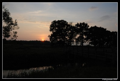 DSC_0100 Leenderheide