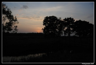 DSC_0126 Leenderheide
