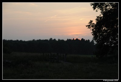 DSC_0135 Leenderheide