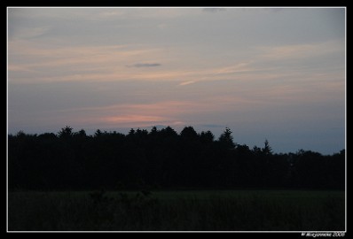 DSC_0149 Leenderheide