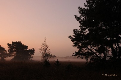 DSC_1052 12 oktober Zondagmorgen vroeg