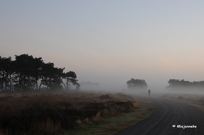 DSC_1094 De actieve jogger in de mist.