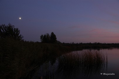_DSC1603 De maan is al tevoorschijn gekomen