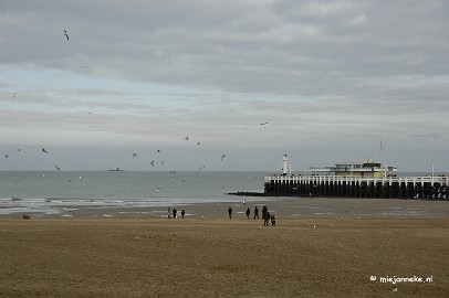 _DSC1667 Een weekend aan de zee.