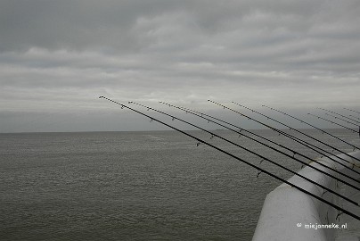 _DSC1896 Daar komt de vis vandaan....