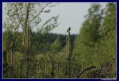 DSC_6561 Uitzicht, eerste rang