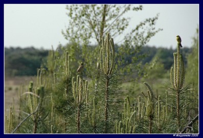 DSC_6562 Samen kan ook