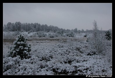 DSC_1431 Sneeuw met Pasen