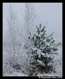 DSC_1462 Sneeuw met Pasen