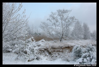 DSC_1558 Sneeuw met Pasen