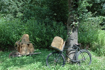 DSC_6661 Immenhof 2008