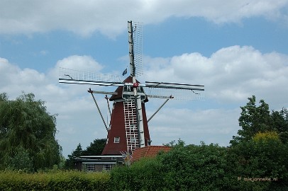 DSC_6679 Janzona
