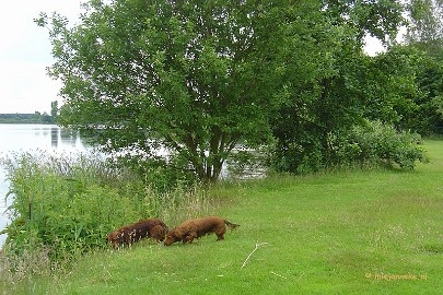 DSC02938