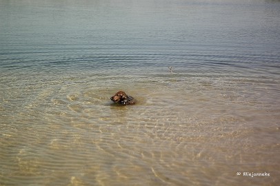 _DSC9770 Ik weet zeker dat er nog een hier lag.