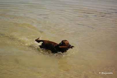 _DSC9780 Goed zo hoor Bram.
