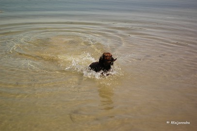 _DSC9784 Hup hup.