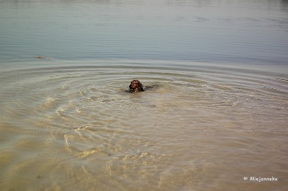 _DSC9791 ppppffff was wel diep hoor.