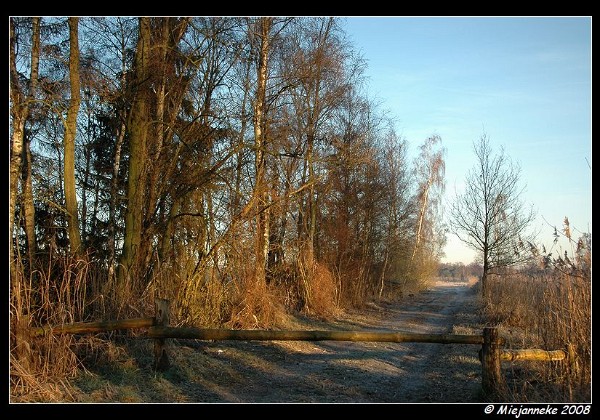 17-02-2008 Wandelen Hageven