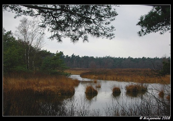 27-01-2008 Wandelen De Malpie