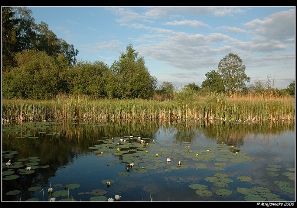 Hageven 18 mei 2008