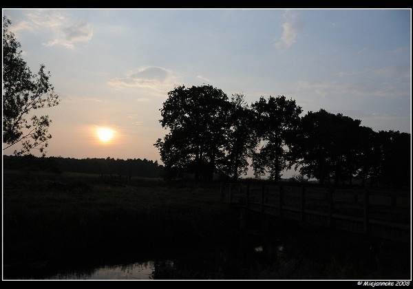 Leenderheide 25 mei 2008